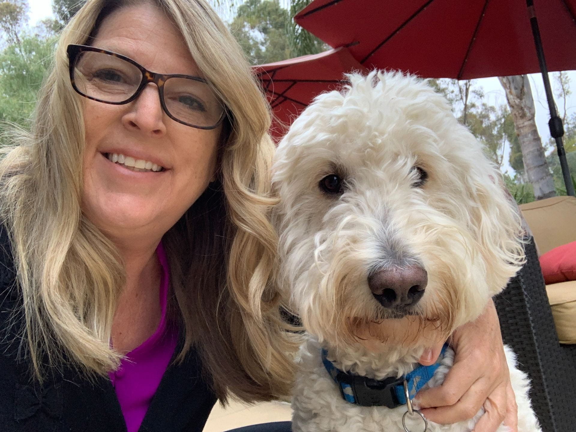 Principal s Corner EastLake Elementary School principal-s-corner-eastlake-elementary-school